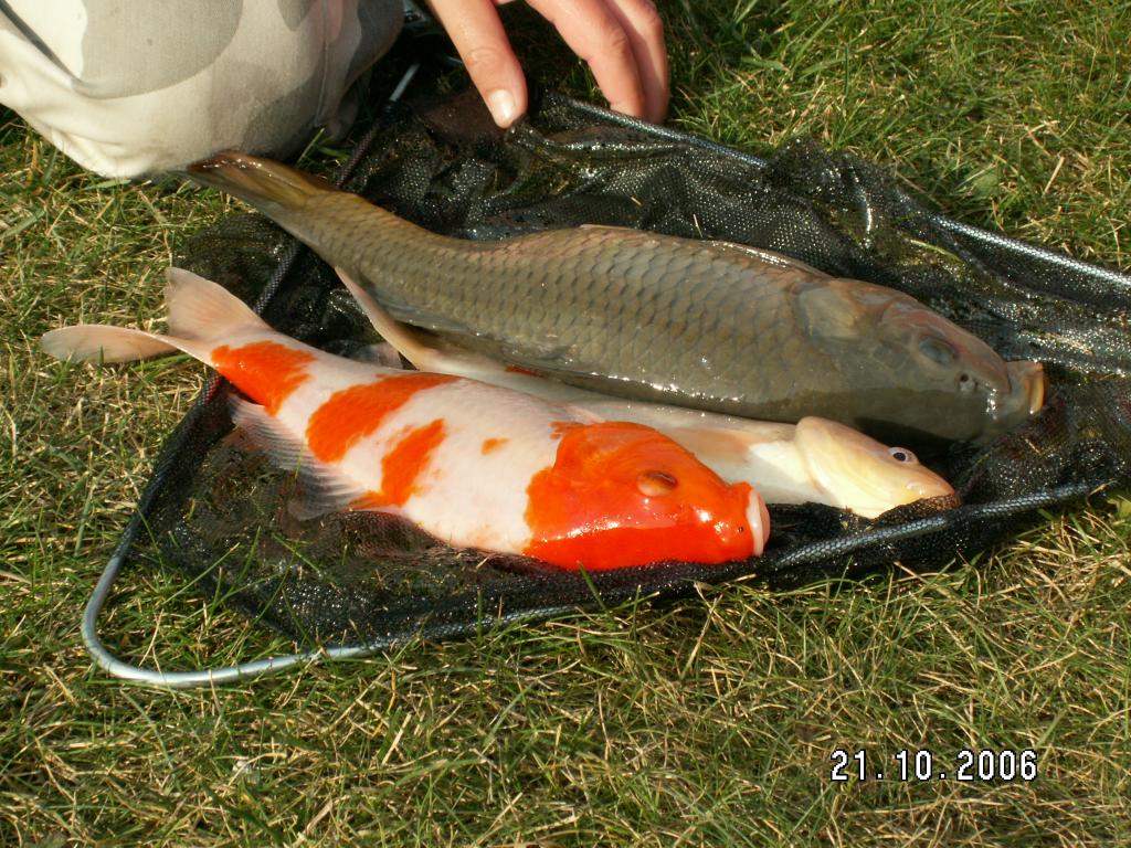 PICT0070.jpg