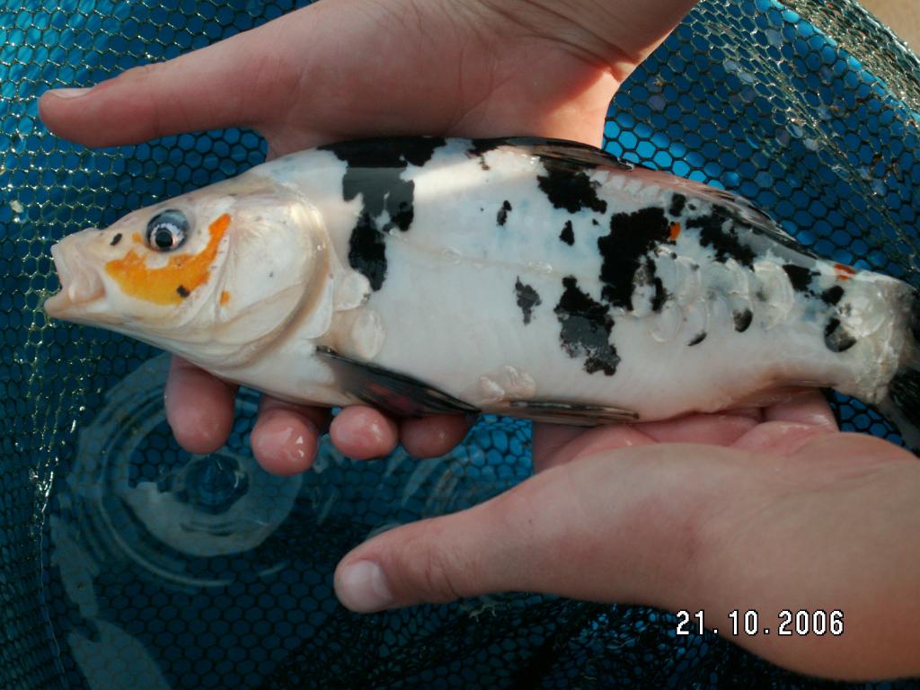 PICT0067.jpg